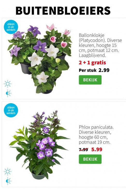 Intratuin Folder 11.08.2025