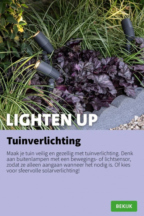 Intratuin Folder 11.08.2025