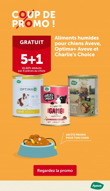 AVEVE Dépliant 13.08.2025