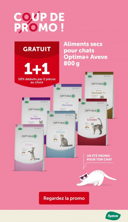 AVEVE Dépliant 13.08.2025