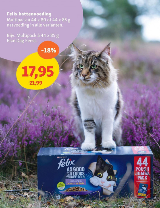 Maxi Zoo Folder 11.08.2025