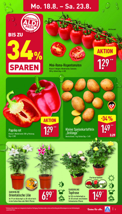 Aldi Nord - woche-34-ab-18-08-2025-bis-23-08-2025-seite-3-rzyrp