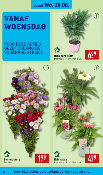 Aldi Folder 18.08.2025