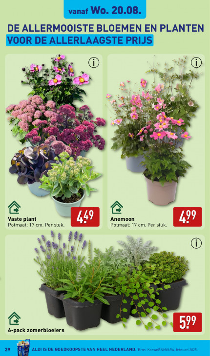 Aldi Folder 18.08.2025