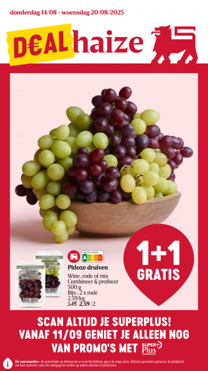 Delhaize Folder 14.08.2025