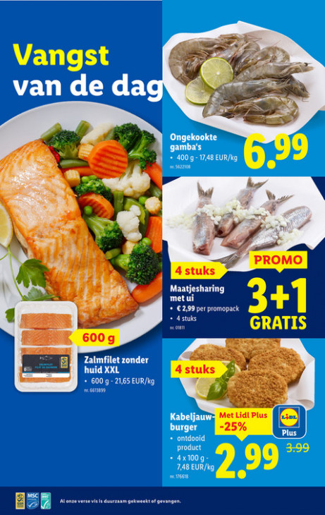 Lidl Folder 20.08.2025
