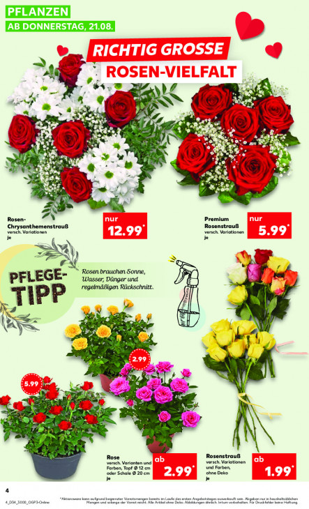 Kaufland - woche-34-ab-21-08-2025-bis-27-08-2025-seite-4-derze