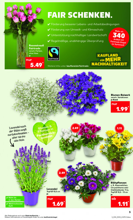 Kaufland - woche-34-ab-21-08-2025-bis-27-08-2025-seite-5-derze