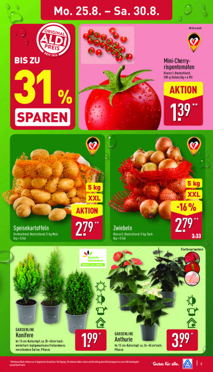 Aldi Nord - woche-35-ab-25-08-2025-bis-30-08-2025-seite-3-ozrwj