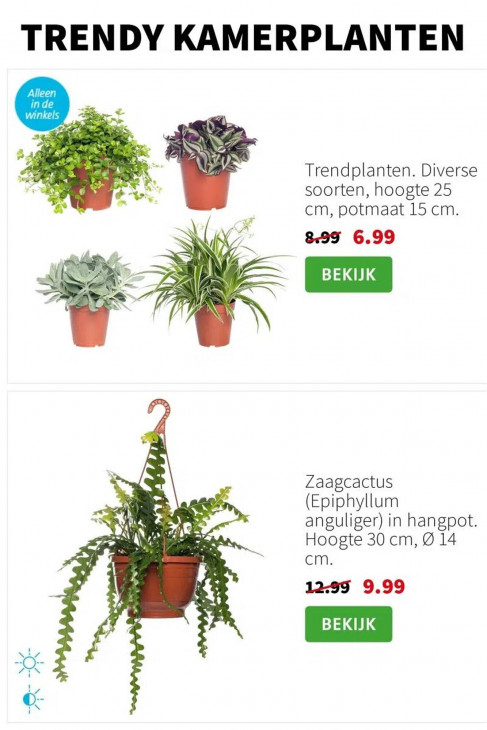 Intratuin Folder 18.08.2025