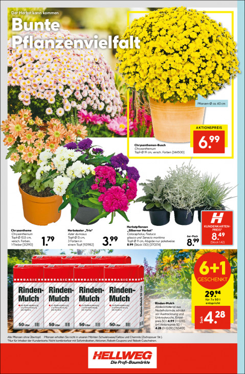 Hellweg Baumarkt Angebote ab 18.08.25 bis 23.08.25