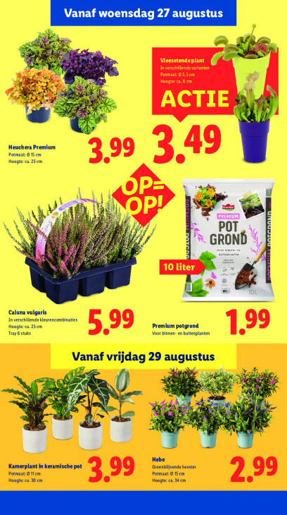 Lidl Folder 25.08.2025