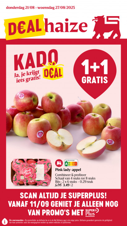 Delhaize Folder 21.08.2025