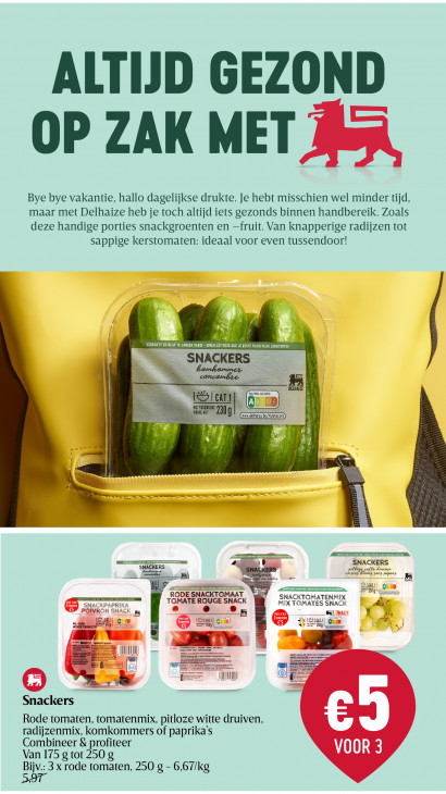 Delhaize Folder 21.08.2025