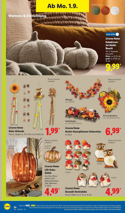 Lidl - woche-36-ab-01-09-2025-bis-06-09-2025-seite-10-nzbnk