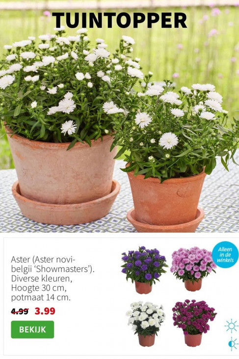 Intratuin Folder 25.08.2025