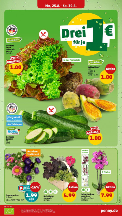 Penny Angebote ab 25.08.25 bis 30.08.25