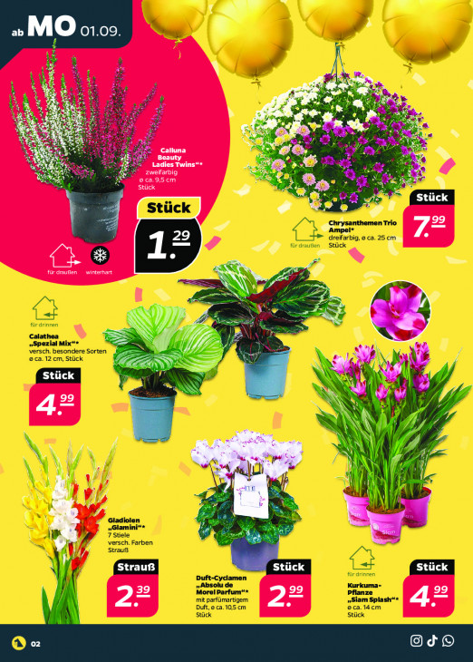 Netto - woche-36-ab-01-09-2025-bis-06-09-2025-seite-2-kdvje