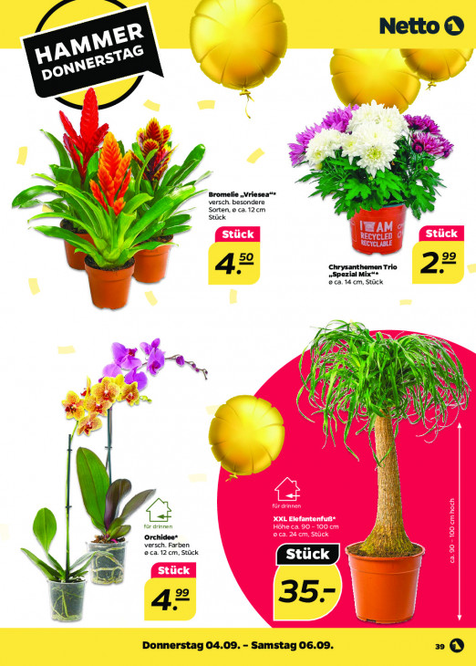 Netto - woche-36-ab-01-09-2025-bis-06-09-2025-seite-39-kdvje