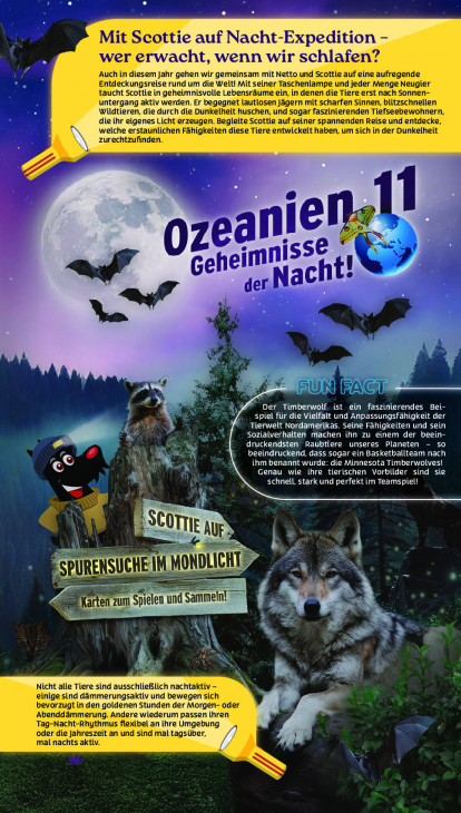 Netto - woche-36-ab-01-09-2025-bis-06-09-2025-seite-50-kdvje