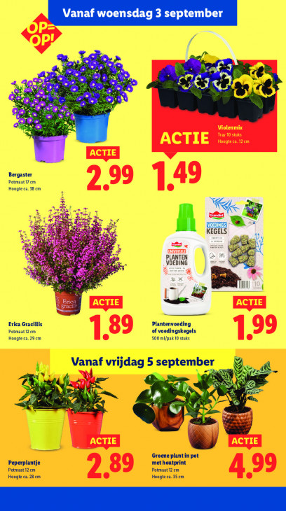 Lidl Folder 01.09.2025