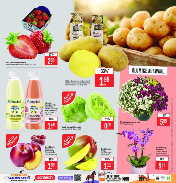 Marktkauf Angebote ab 01.09.25 bis 06.09.25