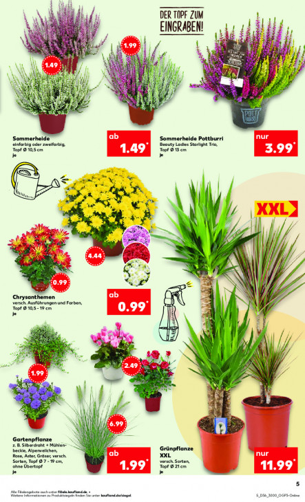 Kaufland Angebote ab 04.09.25 bis 10.09.25