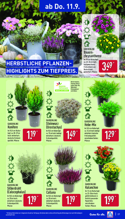 Aldi Nord Angebote ab 08.09.25 bis 13.09.25