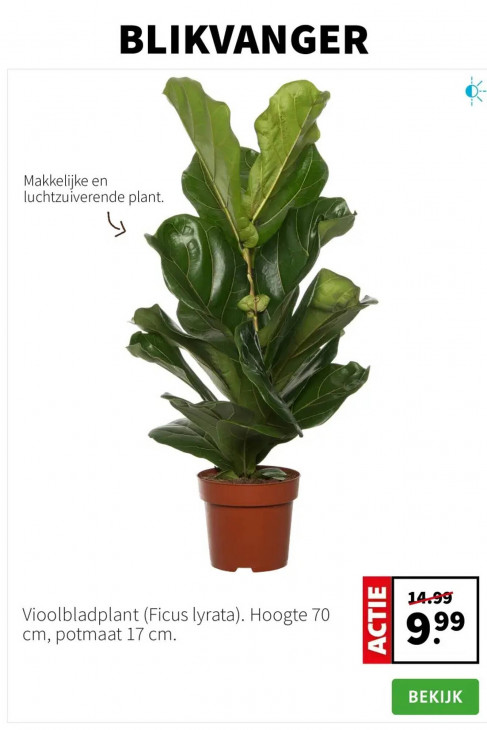 Intratuin Folder 01.09.2025
