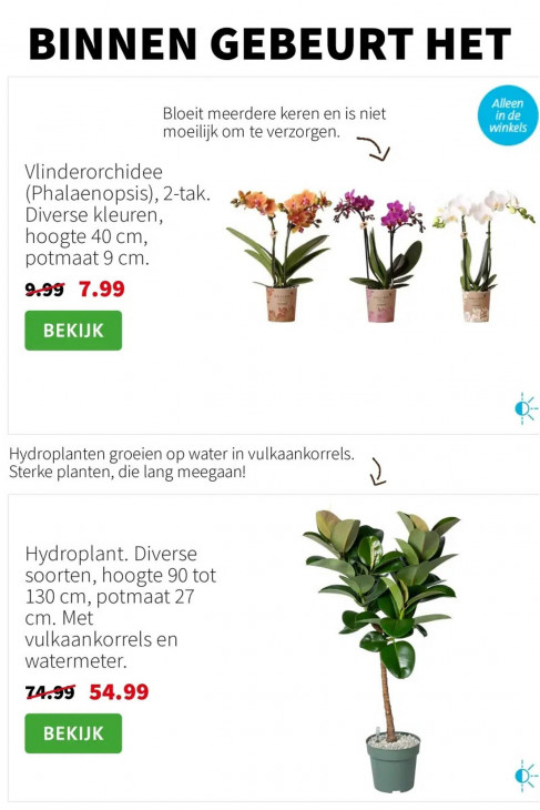 Intratuin Folder 01.09.2025