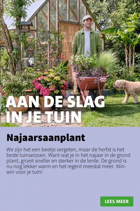 Intratuin Folder 01.09.2025