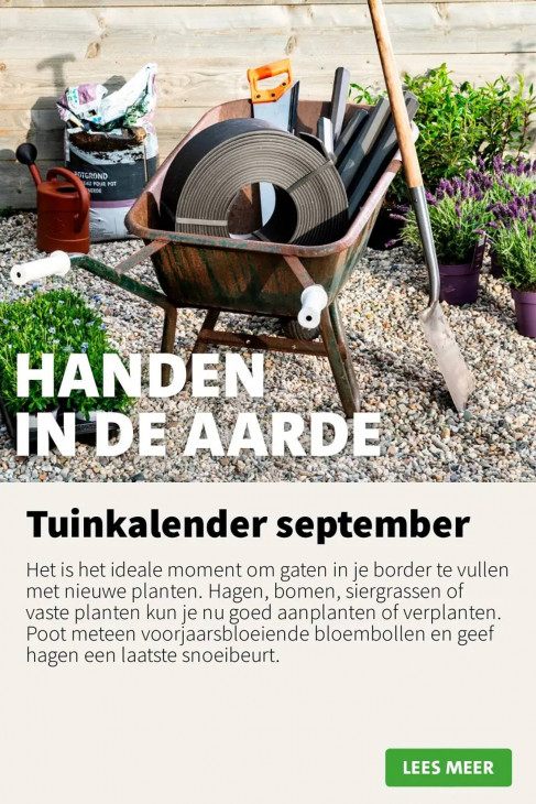 Intratuin Folder 01.09.2025