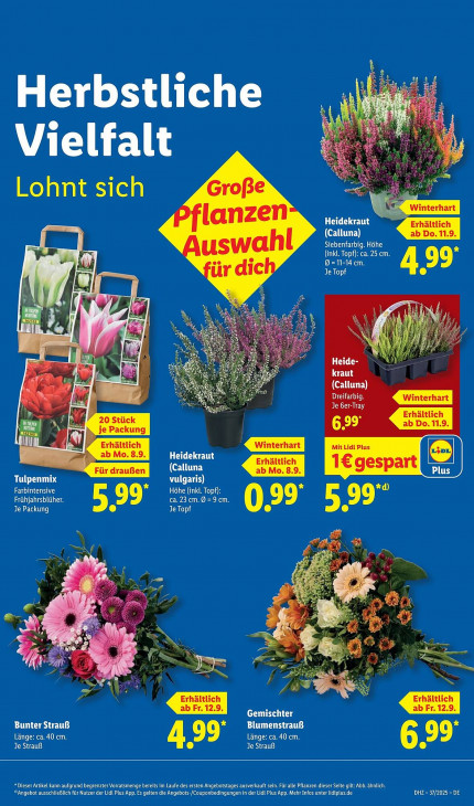 Lidl Angebote ab 08.09.25 bis 14.09.25