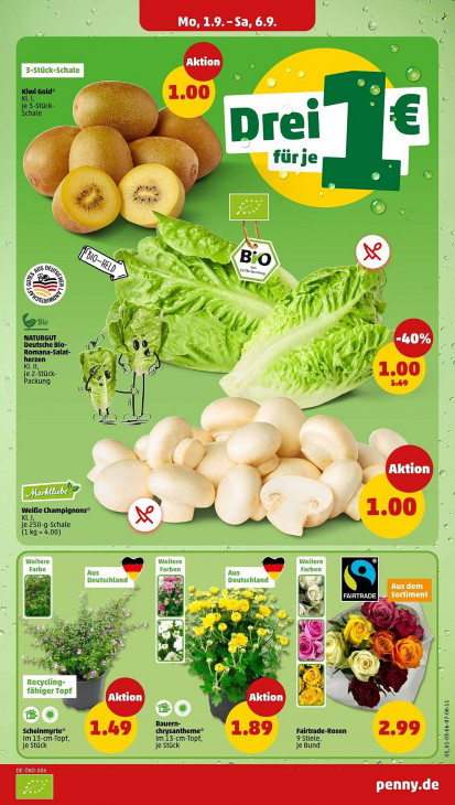 Penny Angebote ab 01.09.25 bis 06.09.25