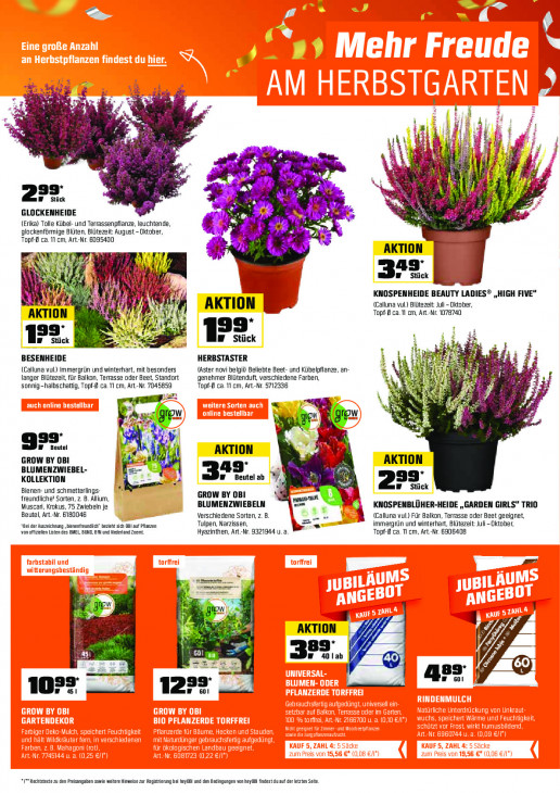 OBI - woche-36-ab-01-09-2025-bis-14-09-2025-seite-7-ozrnw