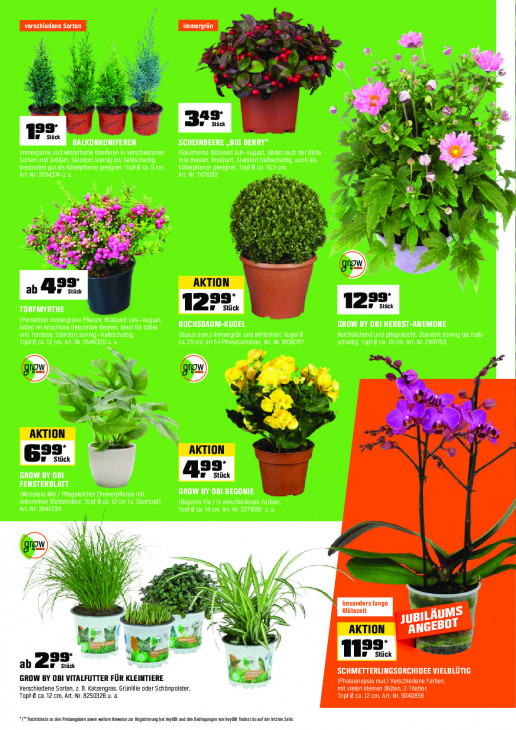 OBI - woche-36-ab-01-09-2025-bis-14-09-2025-seite-8-ozrnw