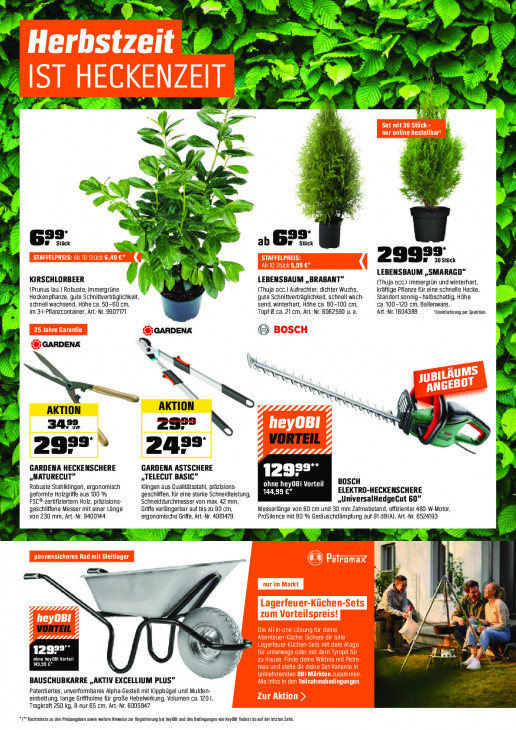 OBI - woche-36-ab-01-09-2025-bis-14-09-2025-seite-9-ozrnw