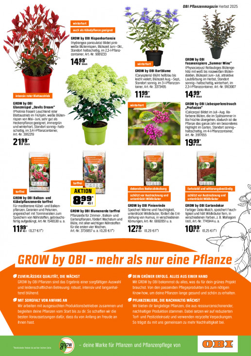 OBI - woche-36-ab-01-09-2025-bis-18-09-2025-seite-17-nzblv