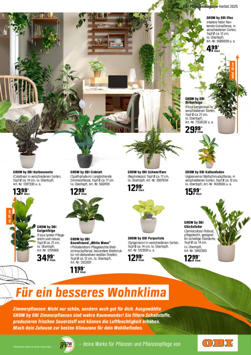 OBI - woche-36-ab-01-09-2025-bis-18-09-2025-seite-19-nzblv