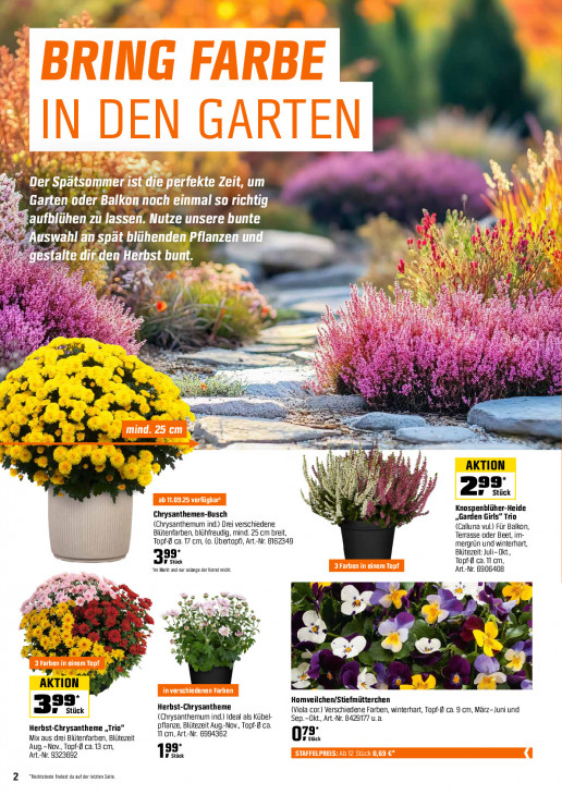 OBI - woche-36-ab-01-09-2025-bis-18-09-2025-seite-2-nzblv