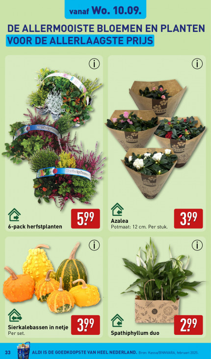 Aldi Folder 08.09.2025