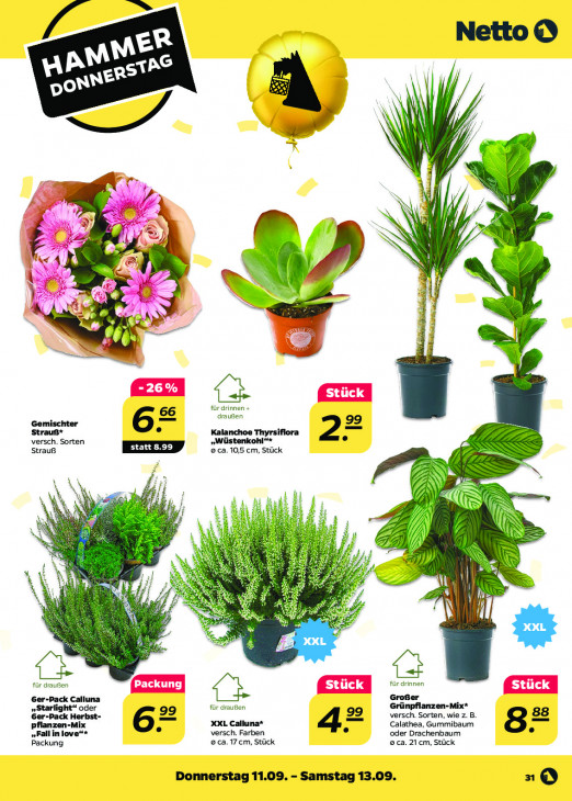 Netto Angebote ab 08.09.25 bis 13.09.25