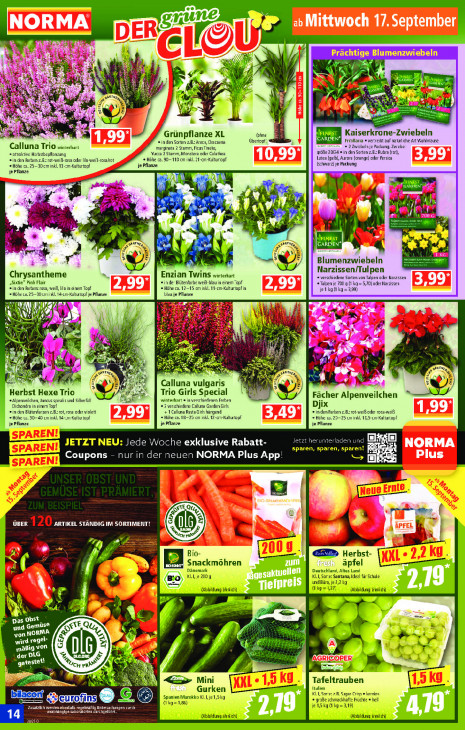 Norma Angebote ab 15.09.25 bis 20.09.25