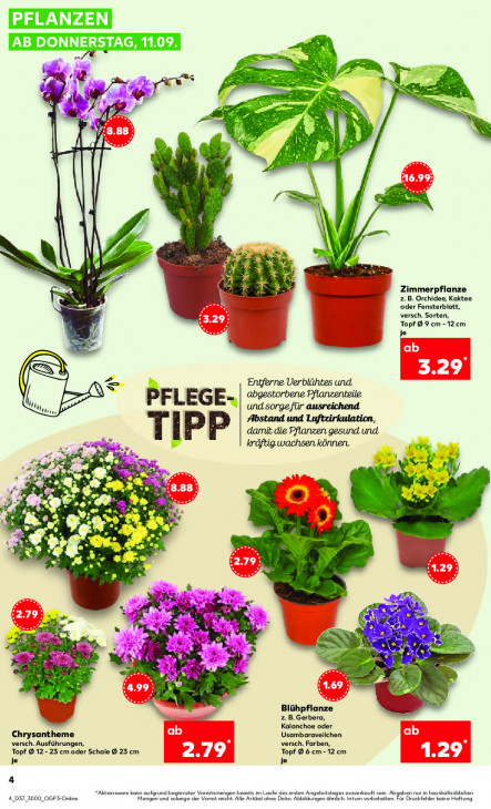 Kaufland - woche-37-ab-11-09-2025-bis-17-09-2025-seite-4-aaene