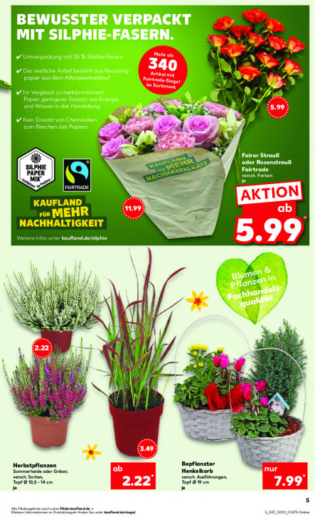 Kaufland - woche-37-ab-11-09-2025-bis-17-09-2025-seite-5-aaene