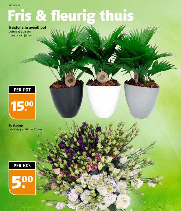 Poiesz Folder 07.09.2025