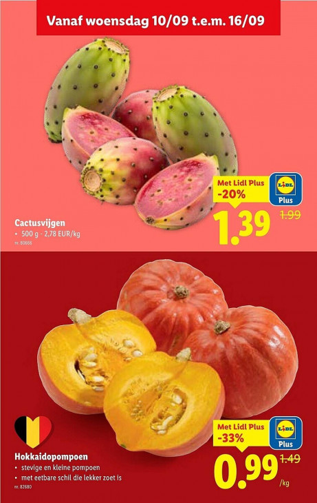 Lidl Folder 10.09.2025