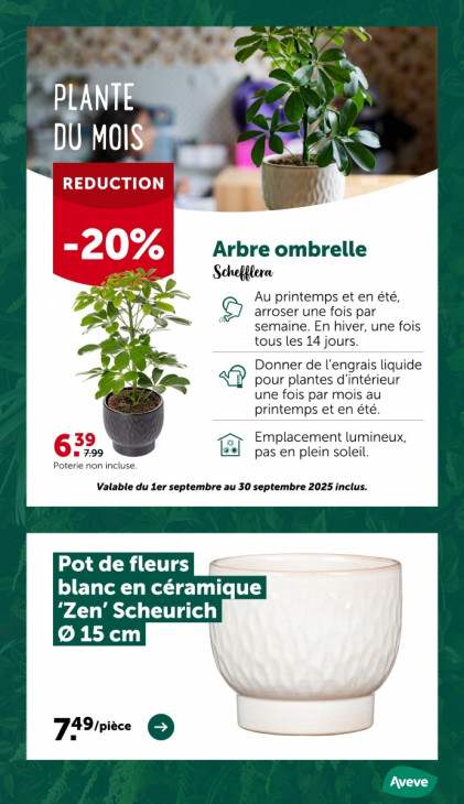 AVEVE Dépliant 10.09.2025