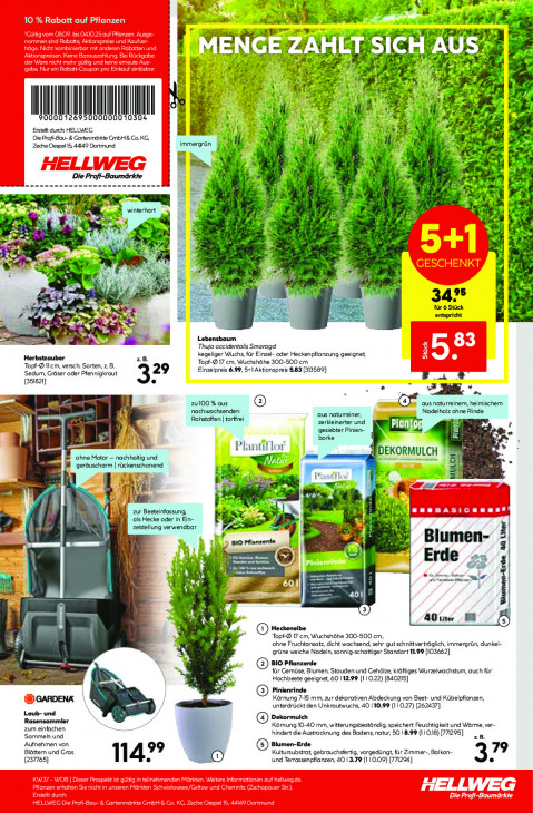 Hellweg Baumarkt - woche-37-ab-08-09-2025-bis-13-09-2025-seite-21-aaedk
