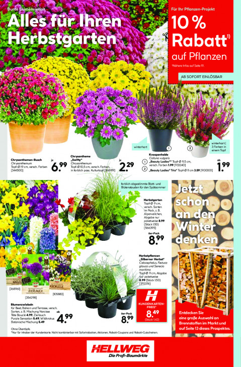Hellweg Baumarkt - woche-37-ab-08-09-2025-bis-13-09-2025-seite-22-aaedk